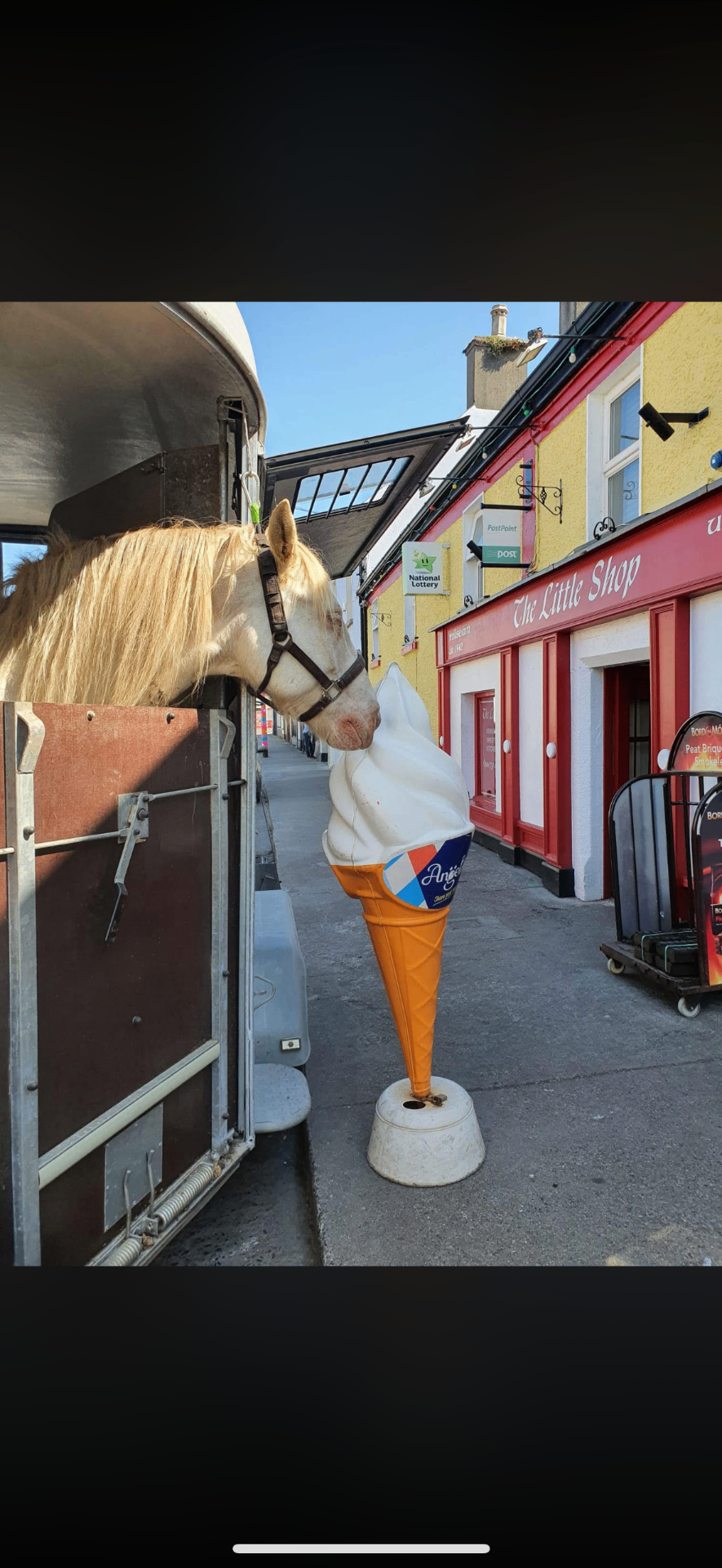 A curious horse leaning in to sniff the giant 99 ice cream cone outside The Little Shop in Bagenalstown